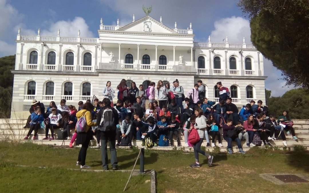 Visita al Entorno de Doñana